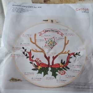 Merry Christmas Embroidery Kit with Red and Green Threads